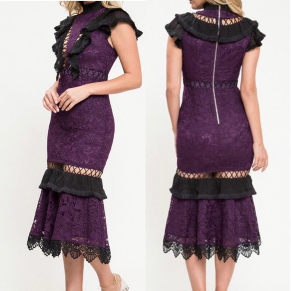 L’atiste by amy lace cutout fitted midi dress